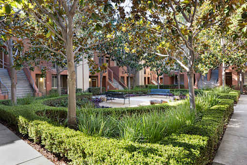 A courtyard with a bench and a tree in front of apartment buildings.