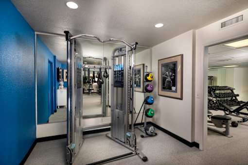 Workout room with weights and mirrors in a home gym at Ascend2300, CA, 92008