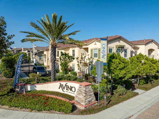 A VINO sign is in front of a building with a palm tree.