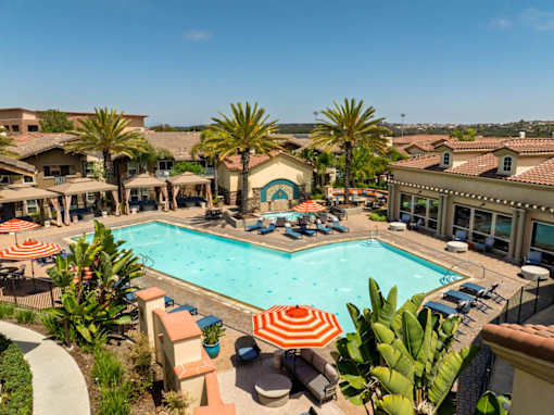A large swimming pool surrounded by palm trees and lounge chairs.
