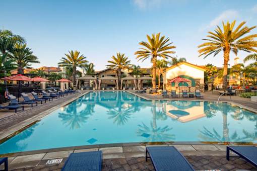 A large pool surrounded by palm trees and lounge chairs.