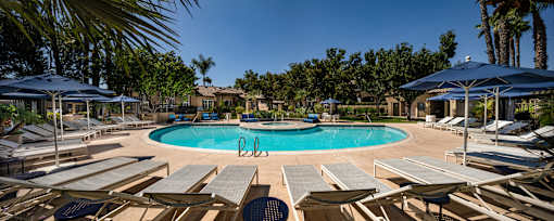 A pool surrounded by sun loungers and umbrellas.