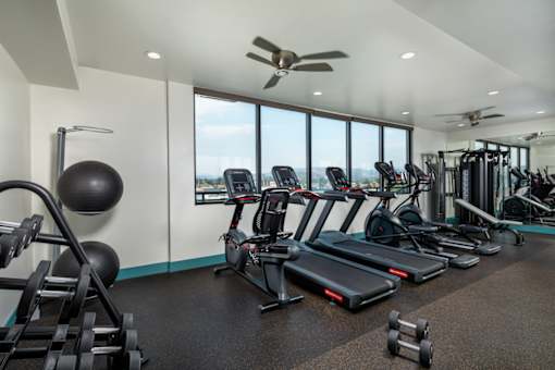 A gym with treadmills, weights, and exercise equipment.