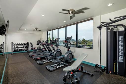 A well-equipped gym with a variety of exercise machines and a large window providing a view of the outdoors.