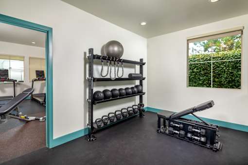A home gym with a weight rack, bench, and weights.