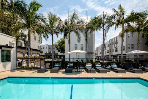 A swimming pool surrounded by palm trees and lounge chairs.