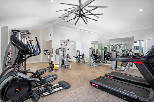 A spacious gym with treadmills, elliptical machines, and other exercise equipment.