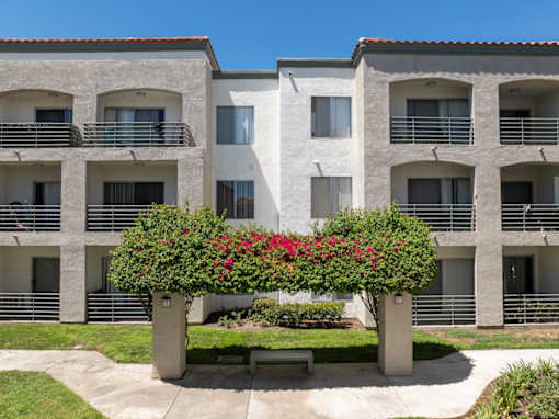 A row of white apartment buildings with balconies and a bench under a tree with red flowers.