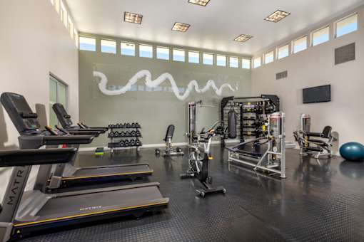 A gym with treadmills, exercise bikes, and other equipment.