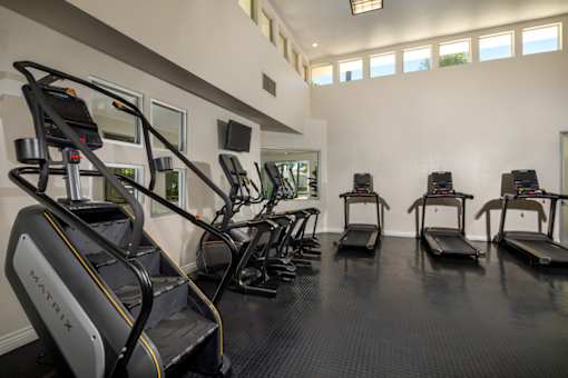 A gym with treadmills and elliptical machines.