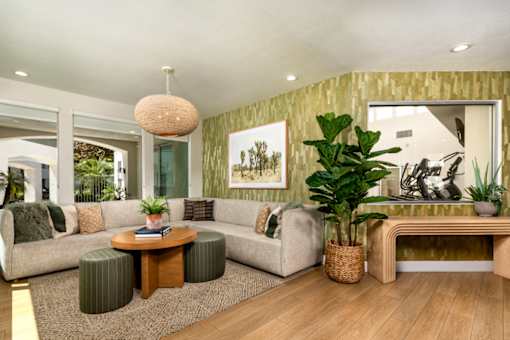A living room with a couch, coffee table, and potted plants.