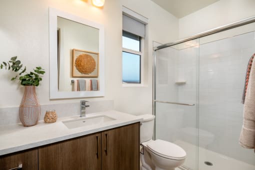 a bathroom with a sink and a toilet and a shower