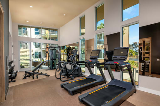 the gym has plenty of cardio equipment and glass windows