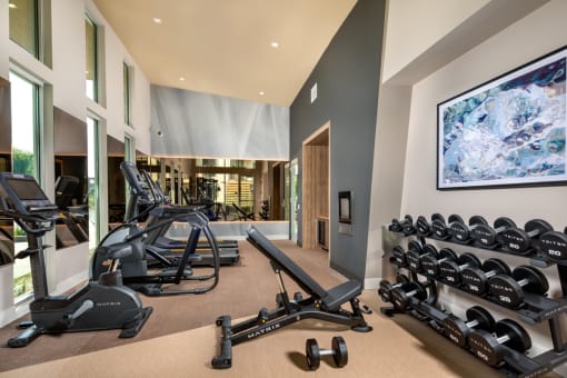 a gym with weights and a large tv on the wall