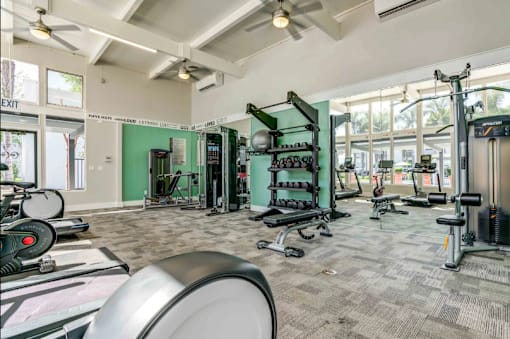 A gym with a variety of equipment including a treadmill, weights, and a stationary bike.