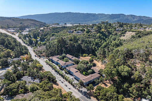 A bird's eye view of a residential area with houses surrounded by trees.