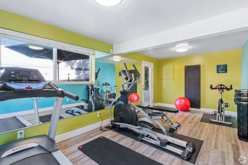 A gym with a treadmill, exercise bike, and weights.