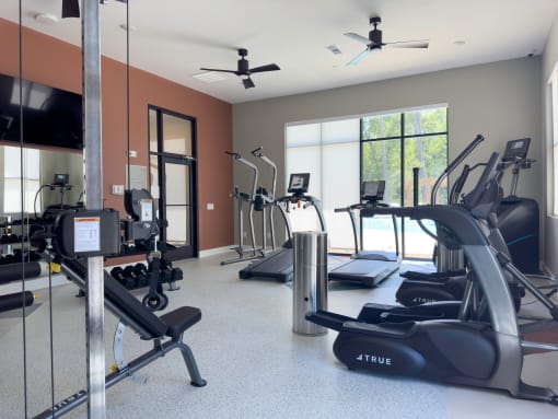 Gym with treadmills and other exercise equipment in a room with large windows and two fans