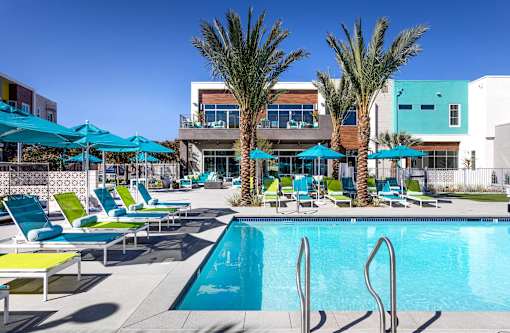 A pool area with sun loungers and palm trees.