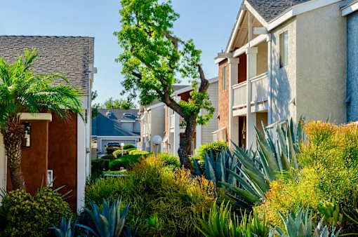 A row of apartment homes with lush green landscaping and balconies.