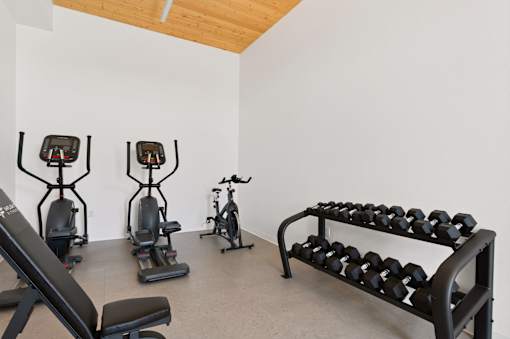 A gym with a bench, weights, and exercise equipment.