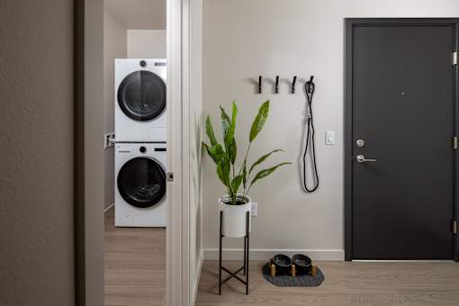 A white washing machine is in a small room with a black door and a plant on a table.