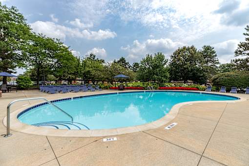 A large swimming pool surrounded by trees and a clear sky.