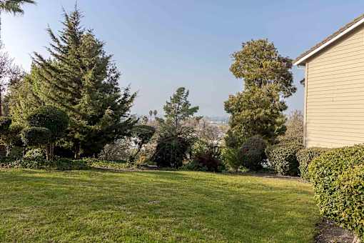 A backyard with a well-maintained lawn and a variety of trees.