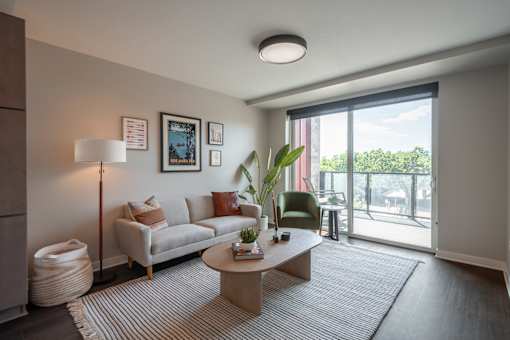 A living room with a grey couch, a coffee table, a lamp, a potted plant, and pictures on the wall.
