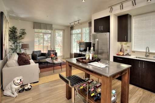 A dog is sitting on the floor in a living room with a couch, coffee table, and kitchen area.