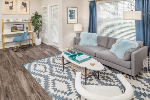 a living room with a gray couch and a blue and white rug