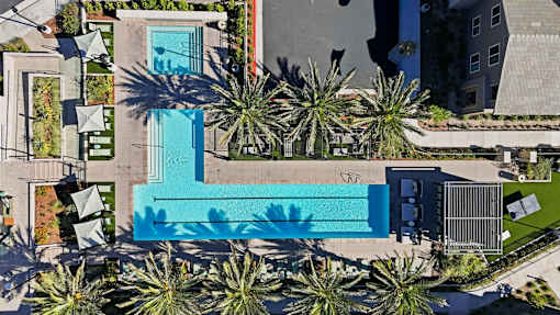 A swimming pool surrounded by palm trees and a fence.