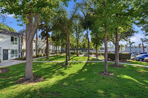 A tree-lined street with a car parked on the side.