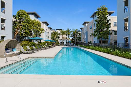 A swimming pool in a residential area with a clear blue sky.