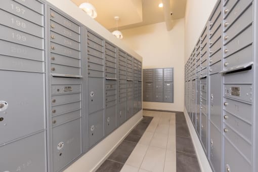the lockers are organized and ready for use in the basement of the building at Element 12 Apartments, Henderson NV