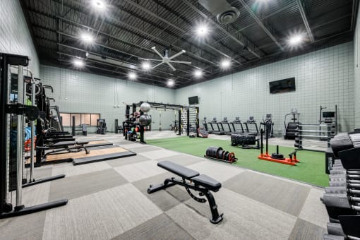 the gym is equipped with weights and cardio equipment