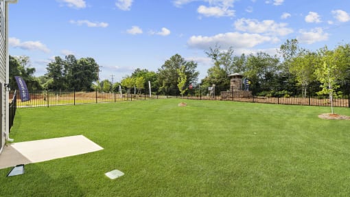 a large grassy area with a batting cage in the middle and trees in the background