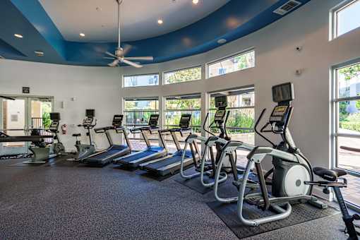 A gym with treadmills and exercise bikes.