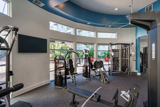 A gym with a variety of equipment including a treadmill, weights, and a bench press.