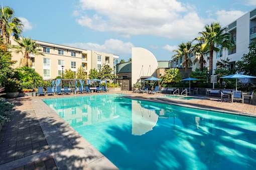 A large swimming pool surrounded by palm trees and lounge chairs.