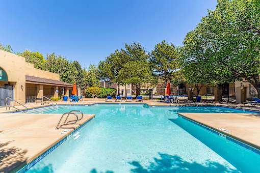 A large swimming pool surrounded by trees and sun loungers.