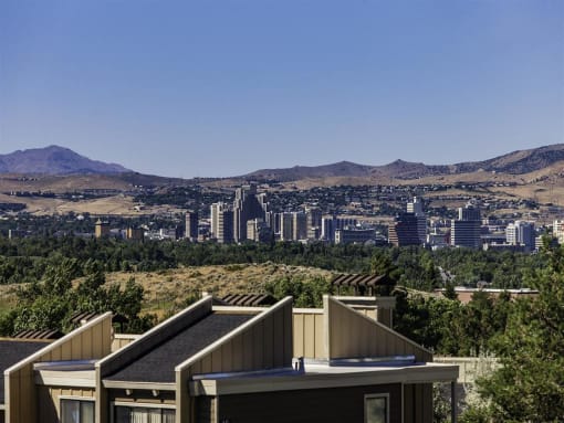 bird's eye view above property