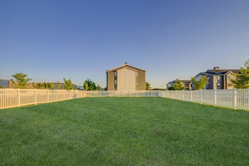 Outdoor grass area