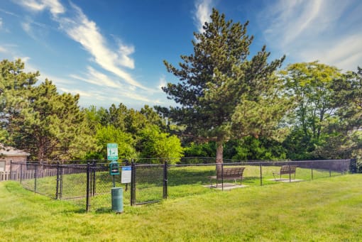 a park with a tree and benches
