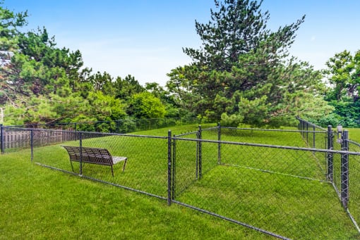 Dog Park