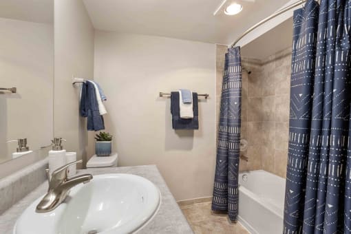 Newly Renovated Bathroom