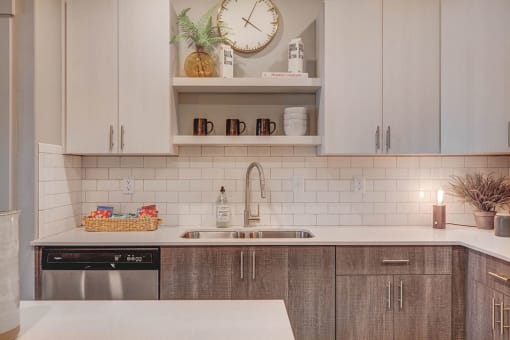 Model Kitchen sink