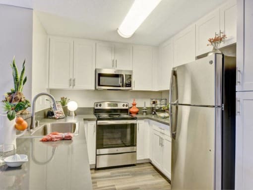 Stainless Steel Appliances, at Park Pointe, 2450 Hilton Head Place, CA