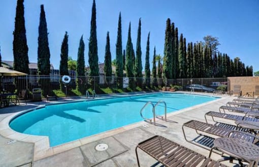 A pool surrounded by tall trees and lounge chairs at The Casas Apartments, San Diego, CA, 92126