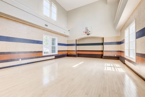 Basketball Court
